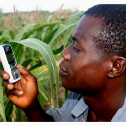 IT Matters More Than You Think: Africans & Remote Work